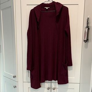 American Eagle Outfitters Burgundy Cardigan